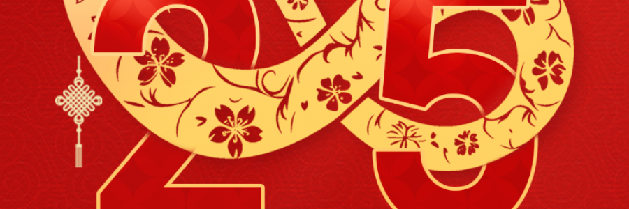 蓝美视讯:迎新年存希望，元旦存储新风尚