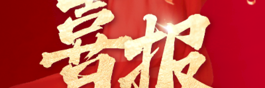 蓝美视讯荣获联想凌拓官方授权，双强联合赋能企业数字化转型